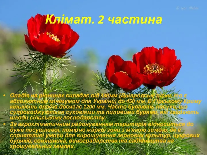 Клімат. 2 частина Опадів на рівнинах випадає від 330мм (Дніпровські піски,