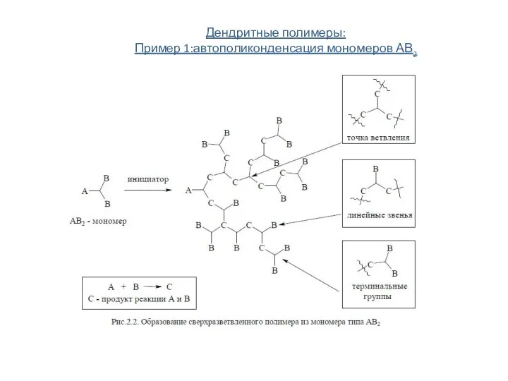 Дендритные полимеры: Пример 1:автополиконденсация мономеров АВ2