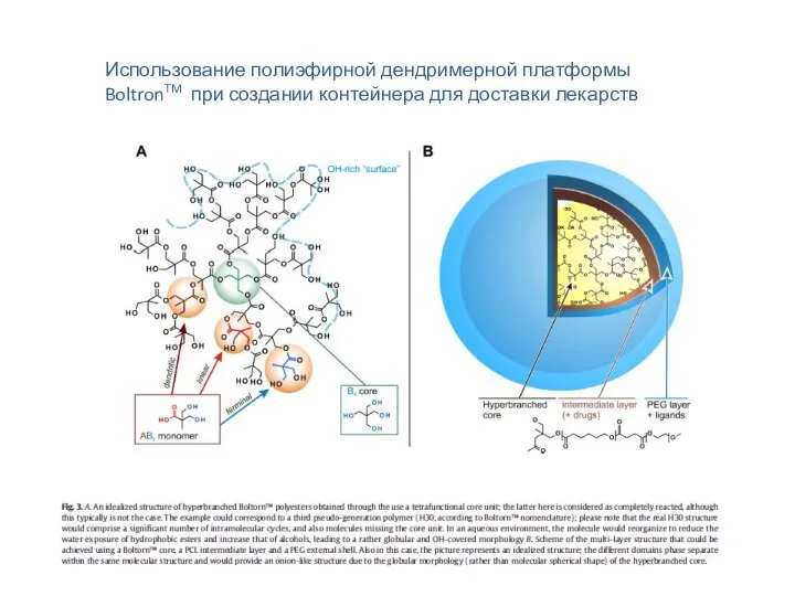 Использование полиэфирной дендримерной платформы BoltronTM при создании контейнера для доставки лекарств