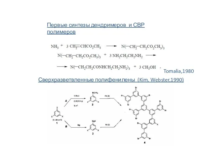 Сверхразветвленные полифенилены (Kim, Webster,1990) Первые синтезы дендримеров и СВР полимеров Tomalia,1980