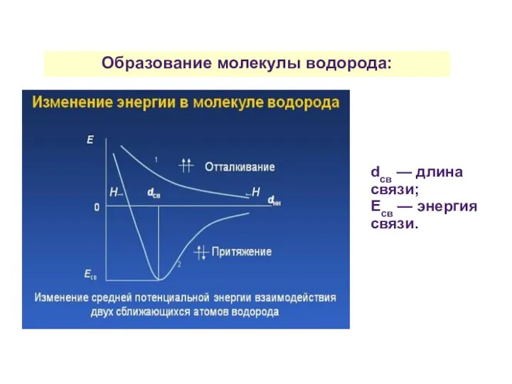 Образование молекулы водорода: dсв — длина связи; Есв — энергия связи.