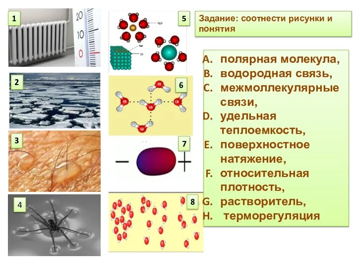 1 2 3 4 5 6 7 8 полярная молекула, водородная