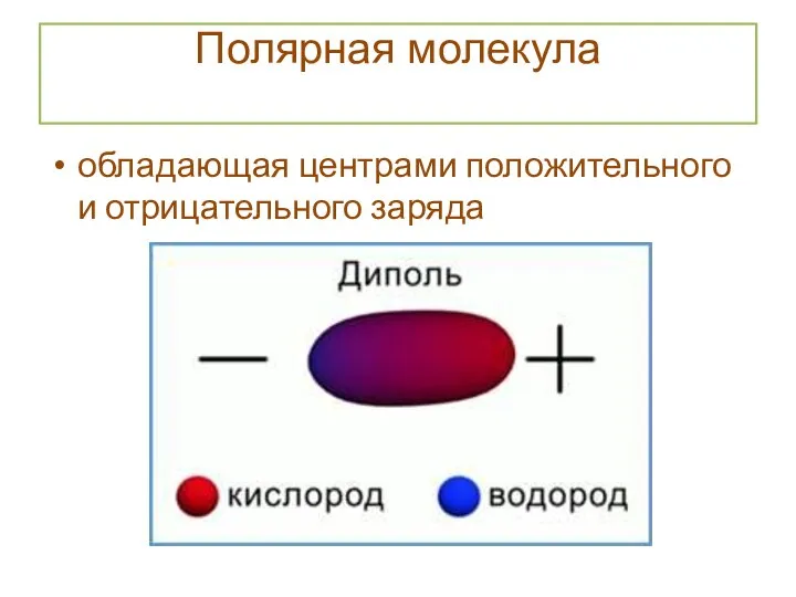 Полярная молекула обладающая центрами положительного и отрицательного заряда