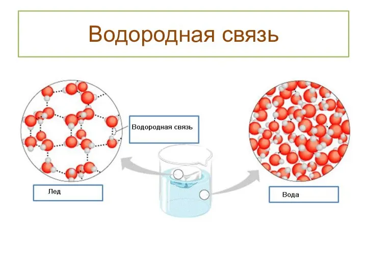 Водородная связь