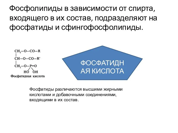 Фосфолипиды в зависимости от спирта, входящего в их состав, подразделяют на