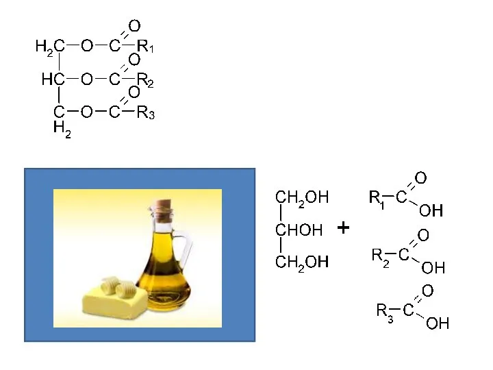 Триацилглицерины( триацилглицериды).