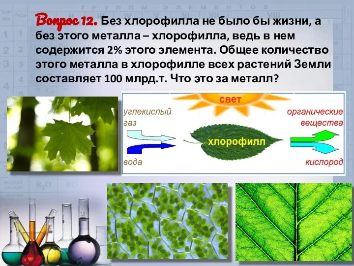 Вопрос 12. Без хлорофилла не было бы жизни, а без этого