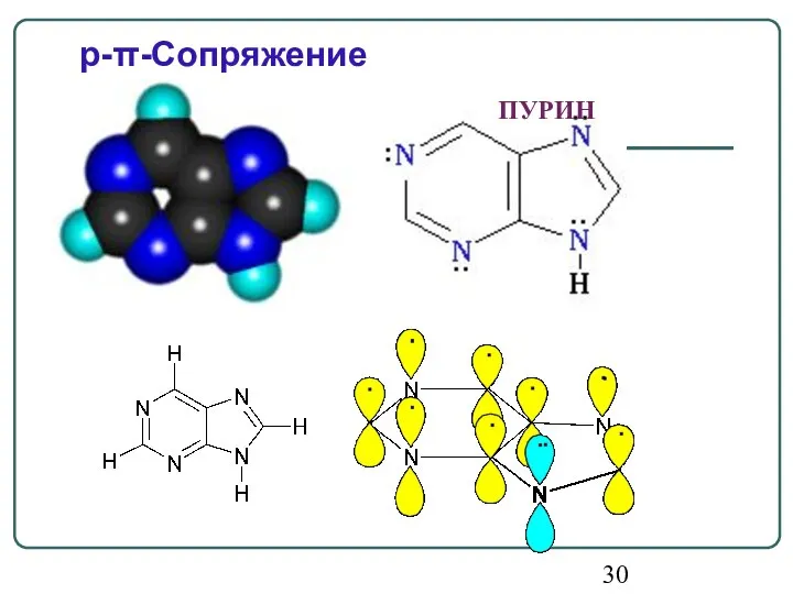 ПУРИН p-π-Сопряжение