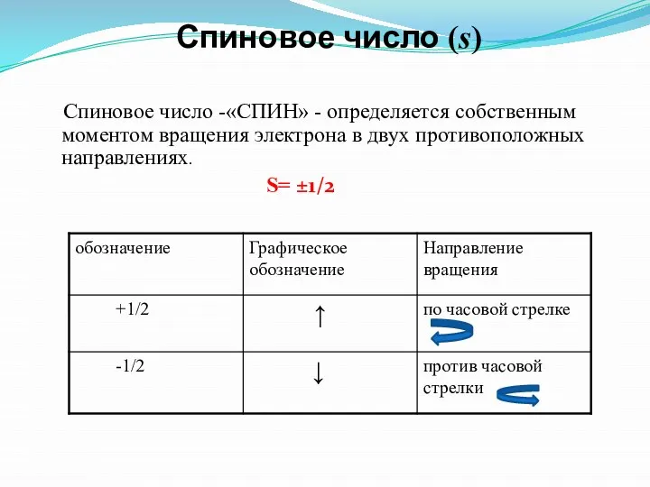 Спиновое число (s) Спиновое число -«СПИН» - определяется собственным моментом вращения