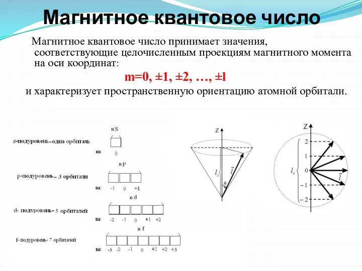 Магнитное квантовое число Магнитное квантовое число принимает значения, соответствующие целочисленным проекциям