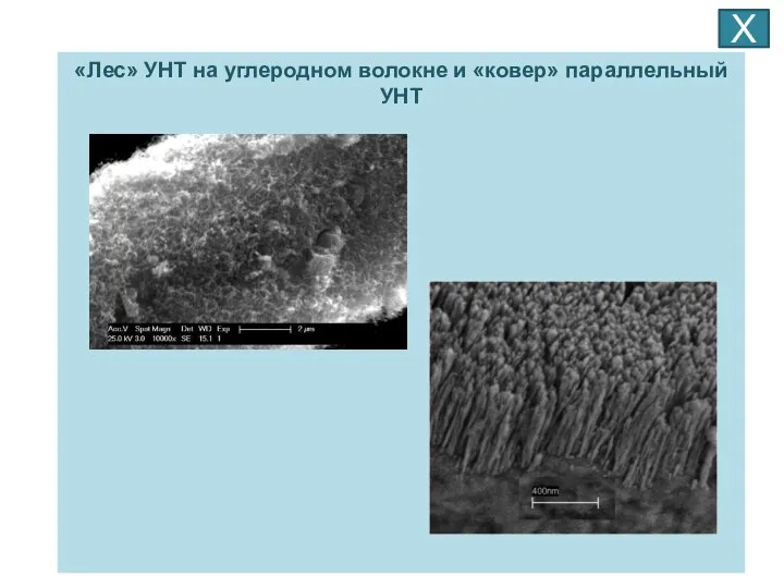 «Лес» УНТ на углеродном волокне и «ковер» параллельный УНТ Х