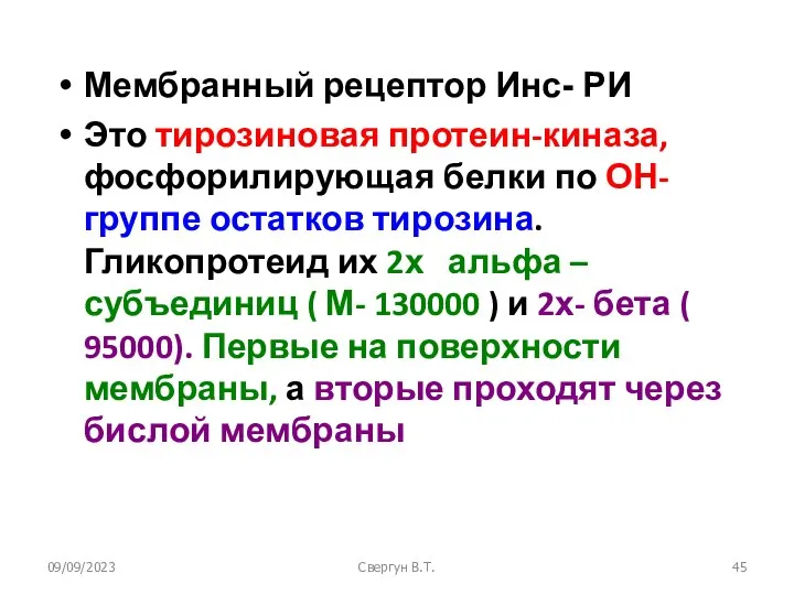 09/09/2023 Свергун В.Т. Мембранный рецептор Инс- РИ Это тирозиновая протеин-киназа, фосфорилирующая