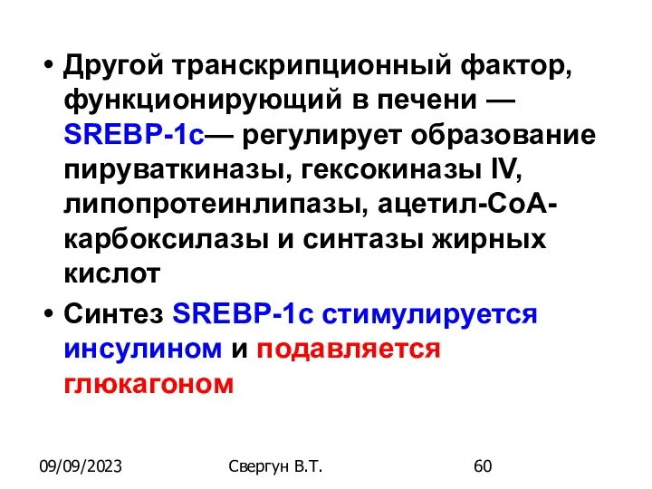 09/09/2023 Свергун В.Т. Другой транскрипционный фактор, функционирующий в печени — SREBP-1c—