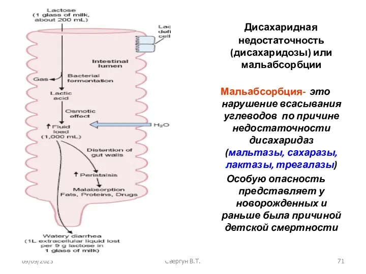 09/09/2023 Свергун В.Т. Дисахаридная недостаточность (дисахаридозы) или мальабсорбции Мальабсорбция- это нарушение