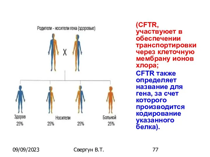 09/09/2023 Свергун В.Т. (CFTR, участвуюет в обеспечении транспортировки через клеточную мембрану