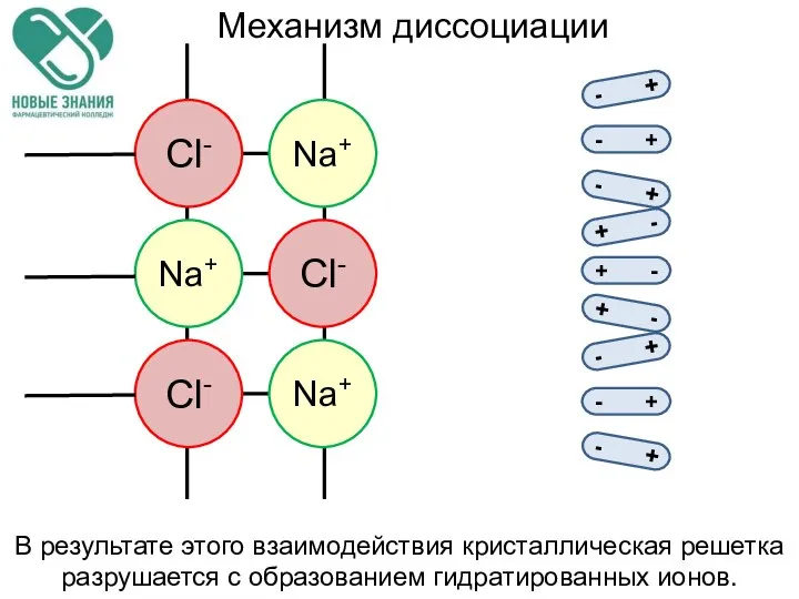 - + - + - + + - + - +