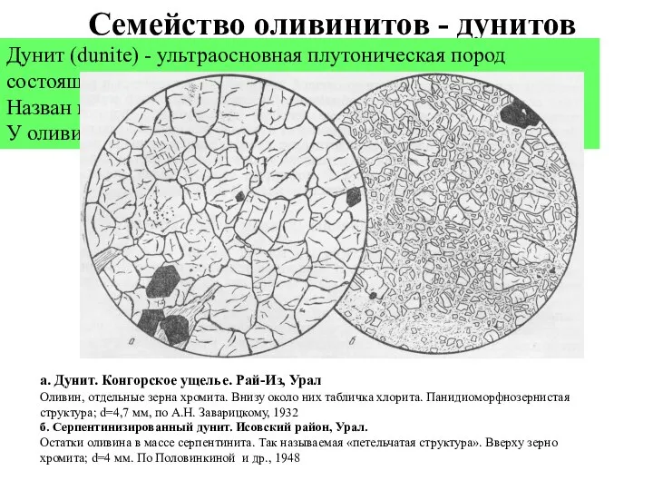 Семейство оливинитов - дунитов Дунит (dunite) - ультраосновная плутоническая пород состоящая