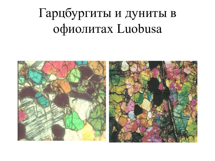 Гарцбургиты и дуниты в офиолитах Luobusa