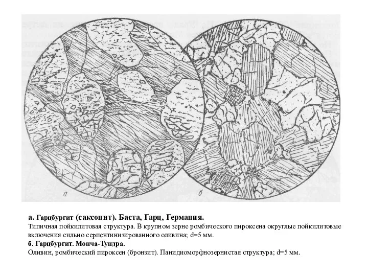 а. Гарцбургит (саксонит). Баста, Гарц, Германия. Типичная пойкилитовая структура. В крупном