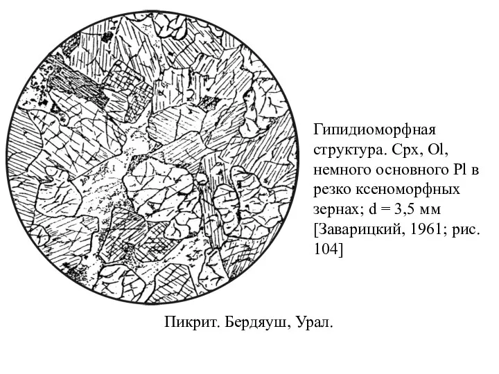 Пикрит. Бердяуш, Урал. Гипидиоморфная структура. Cpx, Ol, немного основного Pl в