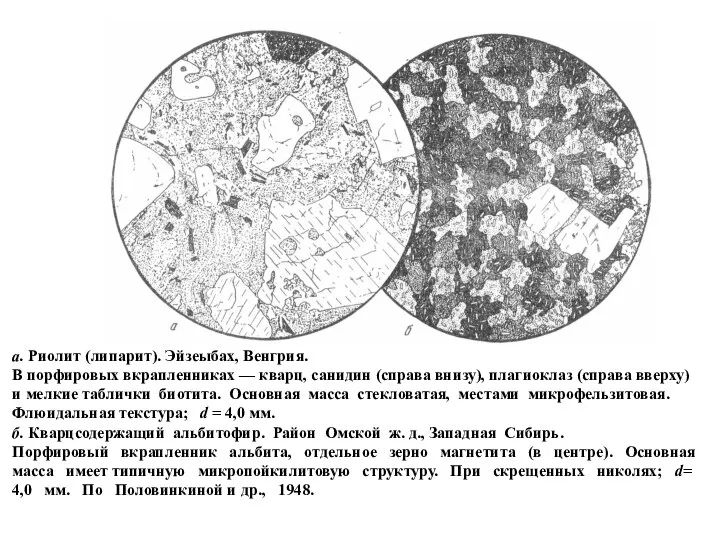 а. Риолит (липарит). Эйзеыбах, Венгрия. В порфировых вкрапленниках — кварц, санидин