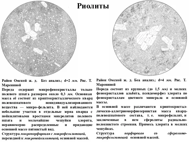 Район Омской ж. д. Без анализ.; d=2 мм. Рис. Т. Марениной