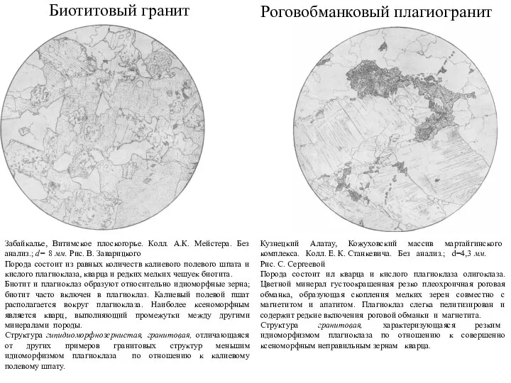 Биотитовый гранит Роговобманковый плагиогранит Забайкалье, Витимское плоскогорье. Колл. А.К. Мейстера. Без