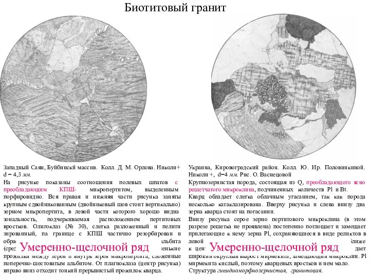 Западный Саян, Буйбинскй массив. Колл. Д. М. Орлова. Николи+ d =