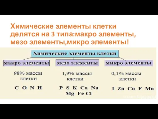 Химические элементы клетки делятся на 3 типа:макро элементы,мезо элементы,микро элементы!