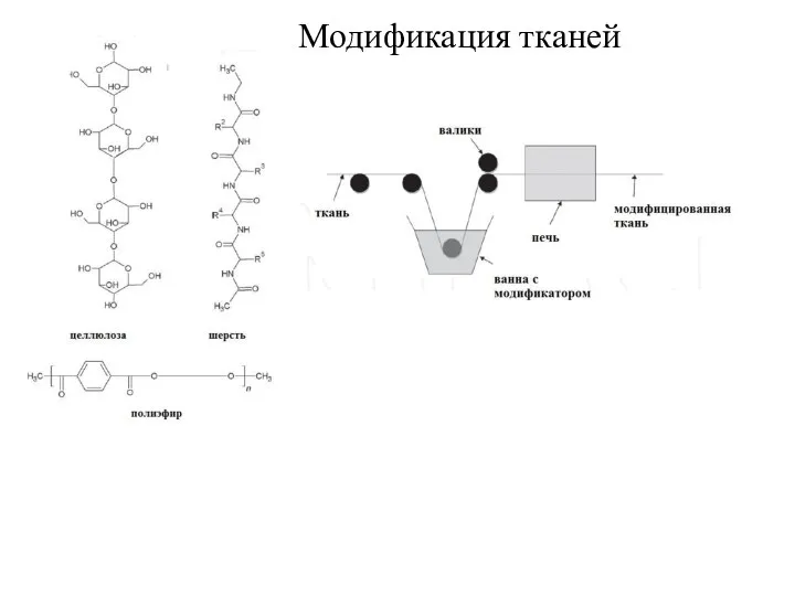 Модификация тканей