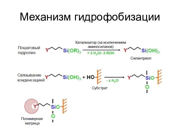 Механизм гидрофобизации