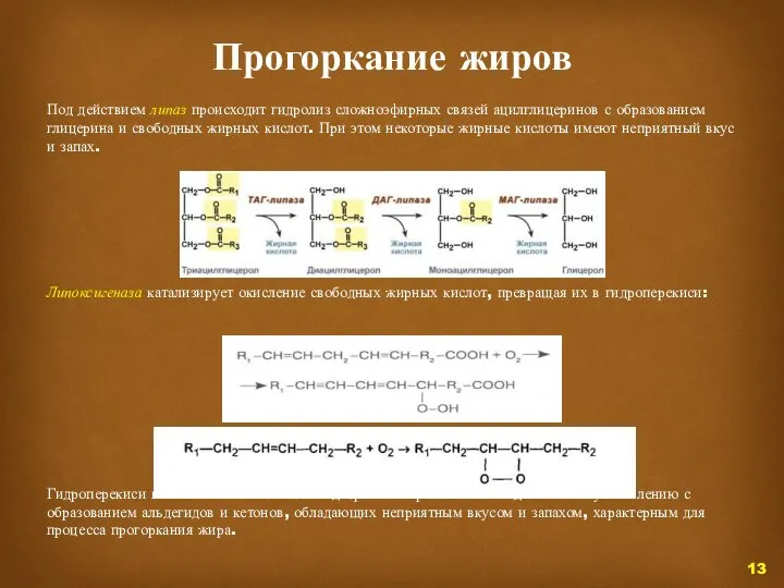 Прогоркание жиров Под действием липаз происходит гидролиз сложноэфирных связей ацилглицеринов с