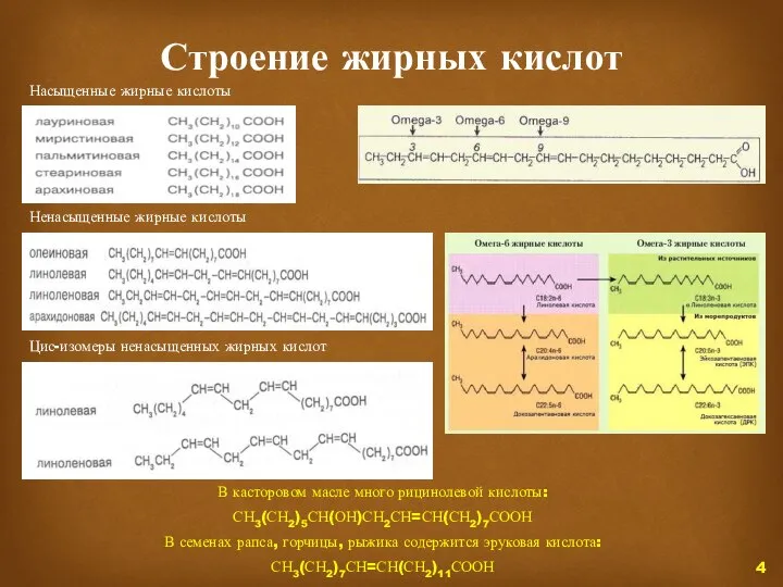 Строение жирных кислот В касторовом масле много рицинолевой кислоты: СН3(СН2)5СН(ОН)СН2СН=СН(СН2)7СООН В