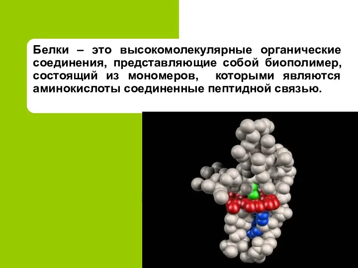 Белки – это высокомолекулярные органические соединения, представляющие собой биополимер, состоящий из