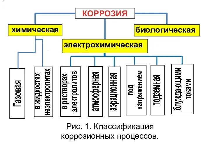 КОРРОЗИЯ химическая электрохимическая биологическая Рис. 1. Классификация коррозионных процессов.