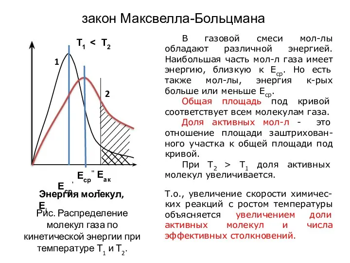 закон Максвелла-Больцмана В газовой смеси мол-лы обладают различной энергией. Наибольшая часть