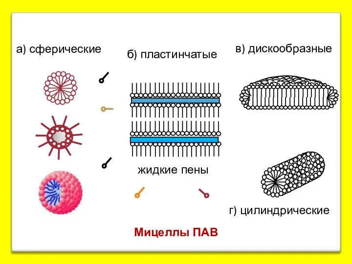 Мицеллы ПАВ а) сферические б) пластинчатые в) дискообразные г) цилиндрические жидкие пены