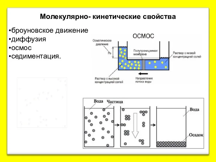 Молекулярно- кинетические свойства броуновское движение диффузия осмос седиментация.