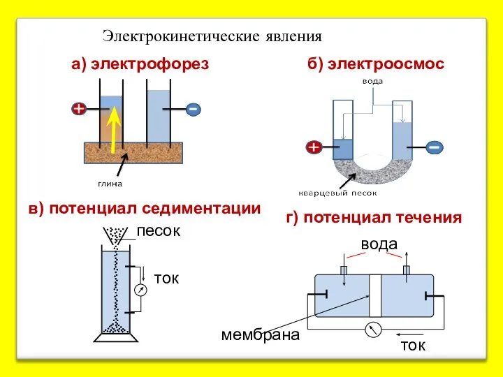 а) электрофорез б) электроосмос в) потенциал седиментации мембрана вода Электрокинетические явления