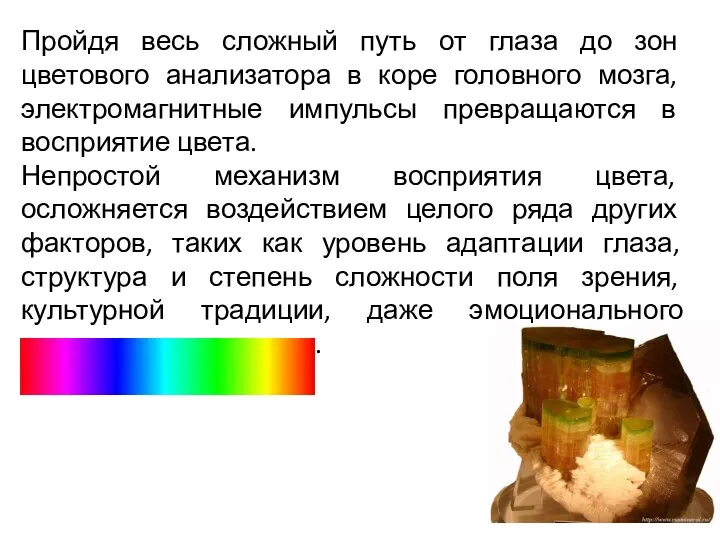 Пройдя весь сложный путь от глаза до зон цветового анализатора в