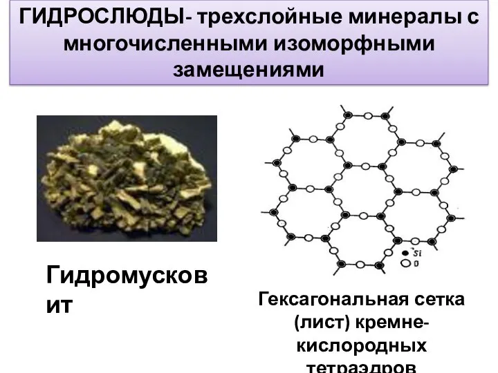 ГИДРОСЛЮДЫ- трехслойные минералы с многочисленными изоморфными замещениями Гидромусковит Гексагональная сетка (лист) кремне-кислородных тетраэдров