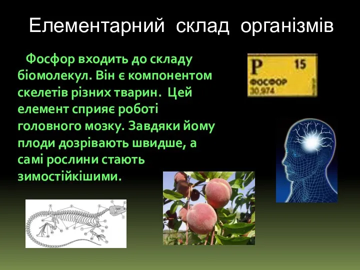 Елементарний склад організмів Фосфор входить до складу біомолекул. Він є компонентом