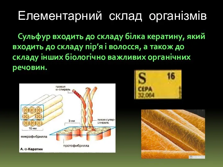 Елементарний склад організмів Сульфур входить до складу білка кератину, який входить