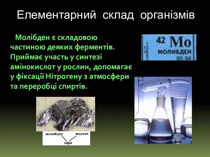 Молібден є складовою частиною деяких ферментів. Приймає участь у синтезі амінокислот