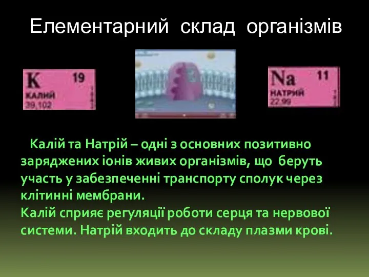 Елементарний склад організмів Калій та Натрій – одні з основних позитивно