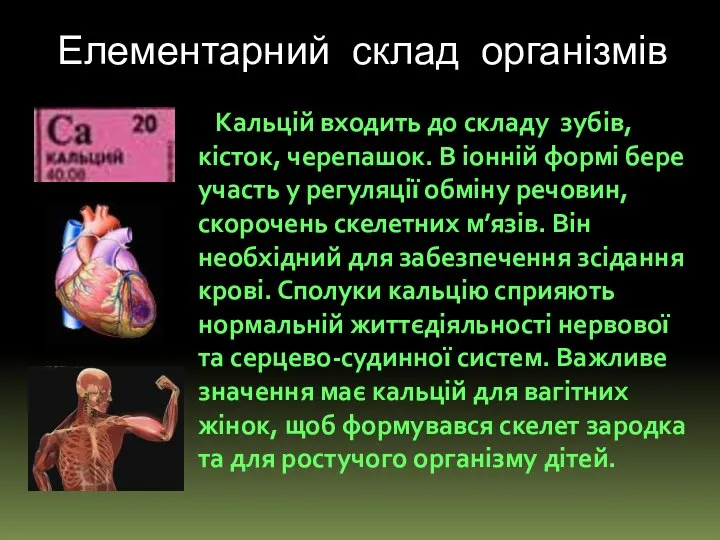 Елементарний склад організмів Кальцій входить до складу зубів, кісток, черепашок. В