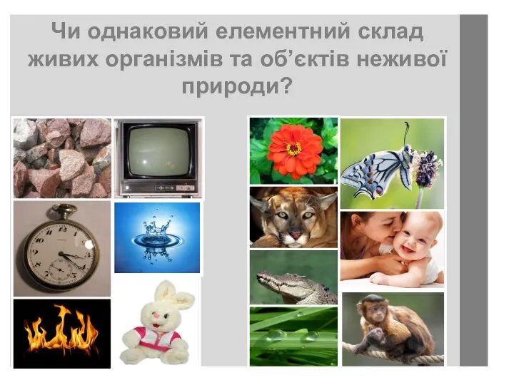 Чи однаковий елементний склад живих організмів та об’єктів неживої природи?