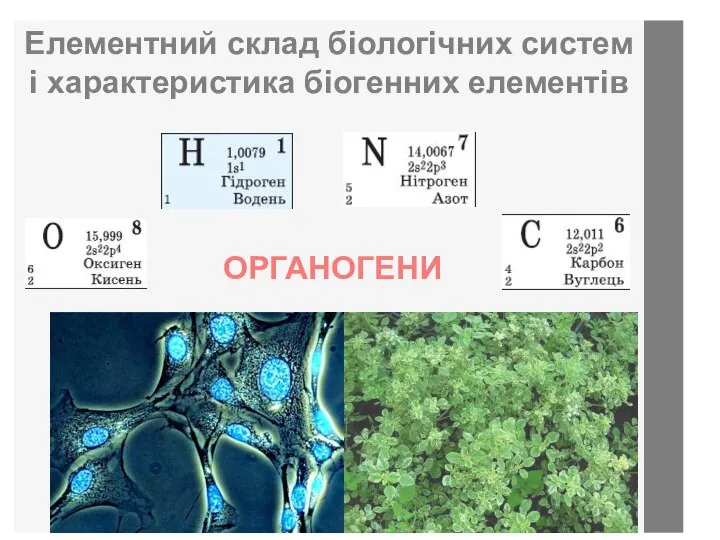 Елементний склад біологічних систем і характеристика біогенних елементів ОРГАНОГЕНИ