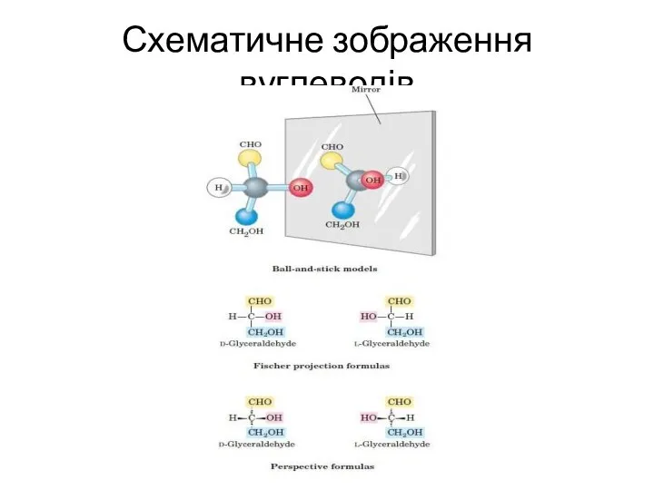 Схематичне зображення вуглеводів