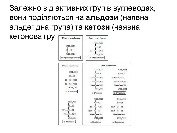 Залежно від активних груп в вуглеводах, вони поділяються на альдози (наявна